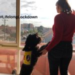 Woman standing at a window with an adorable assistance dog beside her